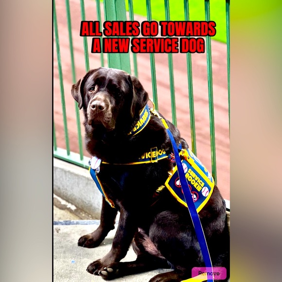 VINTAGE BLOWN GLASS FISH PAPERWEIGHT - Picture 2 of 2